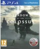 Shadow of the Colossus PS4 POL Używana